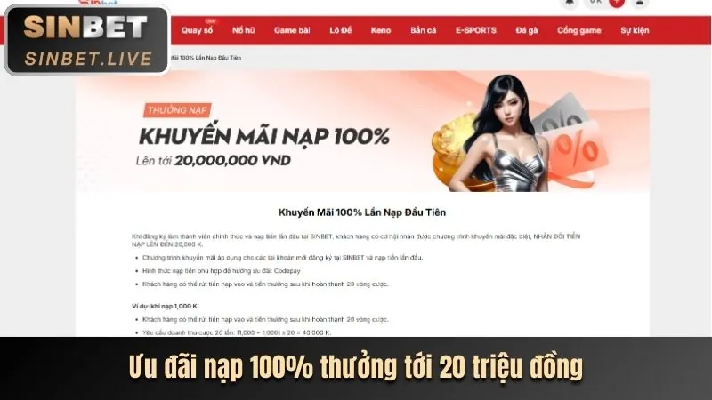 Chiến thuật cá cược 02tr88